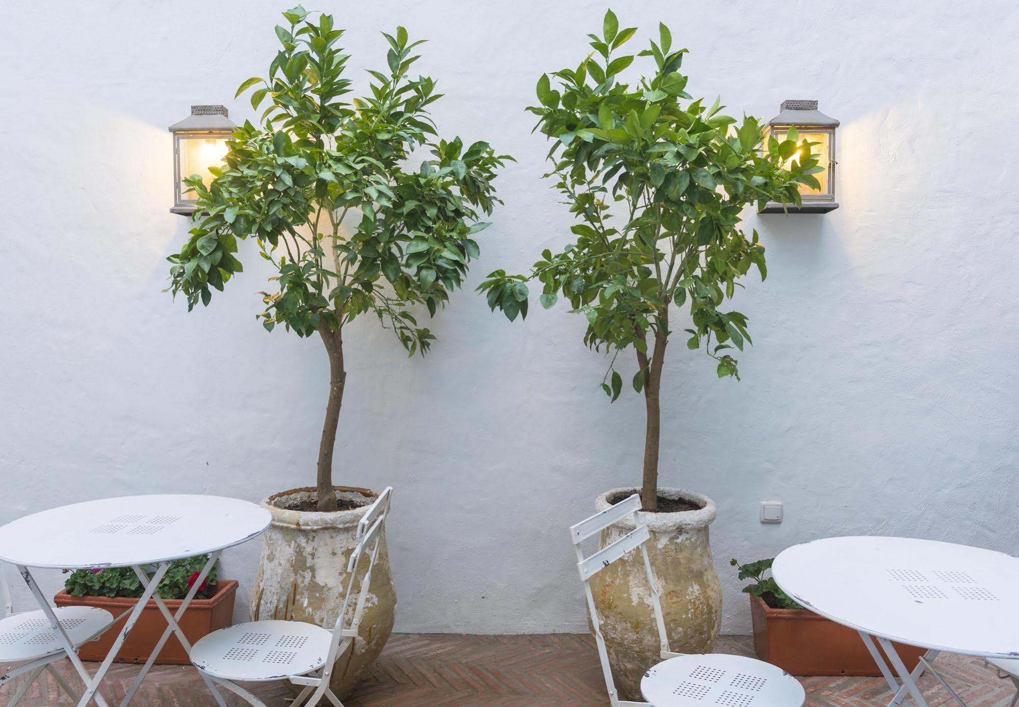 Casa Shelly Hospederia Hotel Vejer de la Frontera Ngoại thất bức ảnh